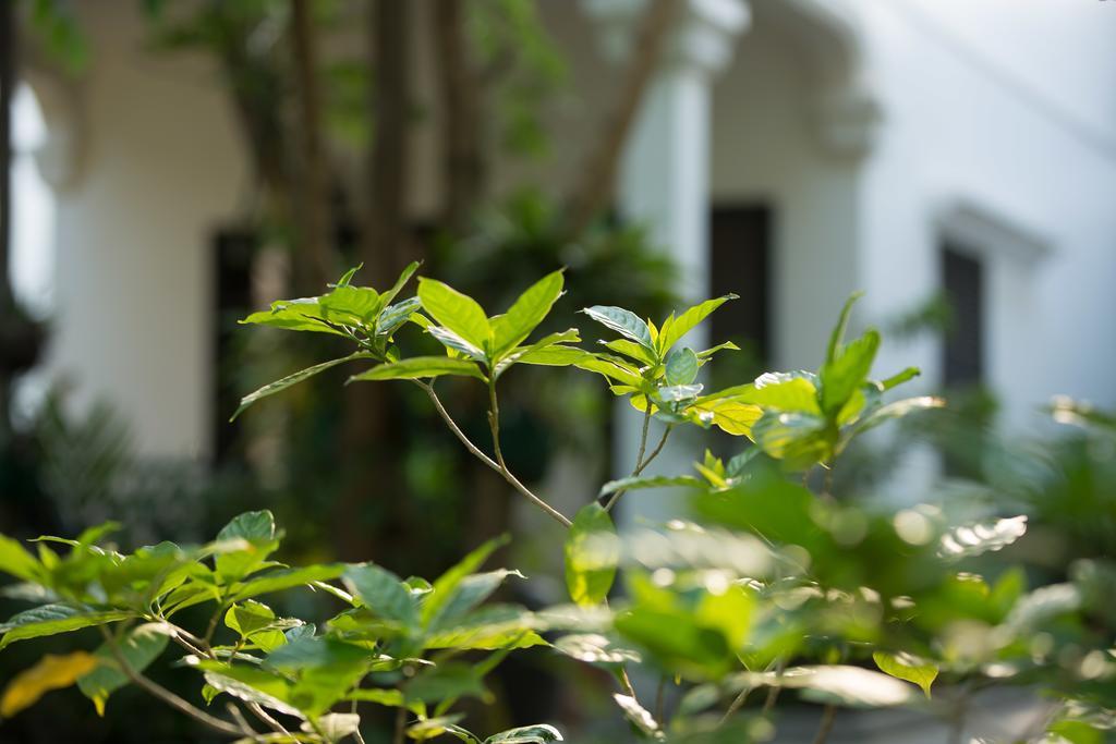 Sonalong Boutique Village & Resort Siem Reap Esterno foto